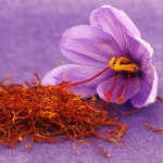 Saffron - oriental woody perfume notes