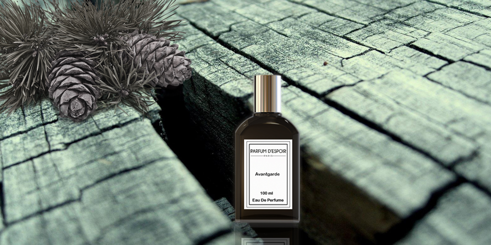 woody fragrance family - parfum d'espoir - brand perfume