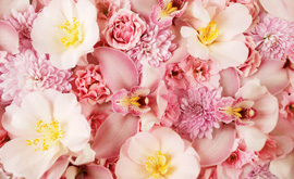 Soft Floral Fragrance Family - the world of fragrance - Parfum D'espopir