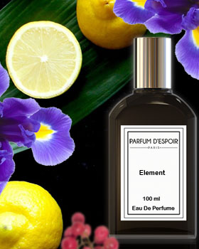 Element - perfume for men - parfum d'espoir - france